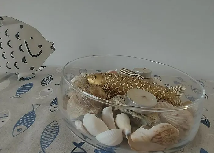 Santosha On The Pomorie